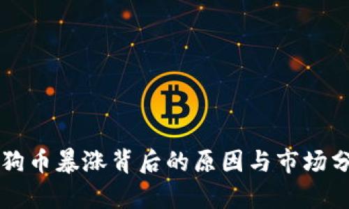 狗狗币暴涨背后的原因与市场分析