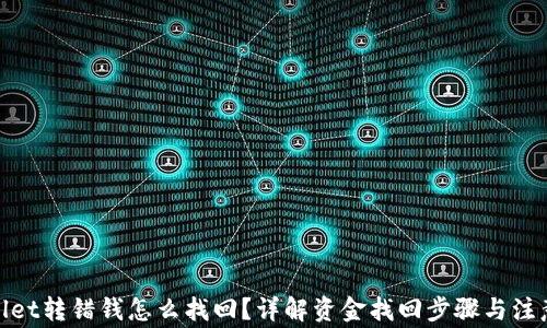 
tpwallet转错钱怎么找回？详解资金找回步骤与注意事项