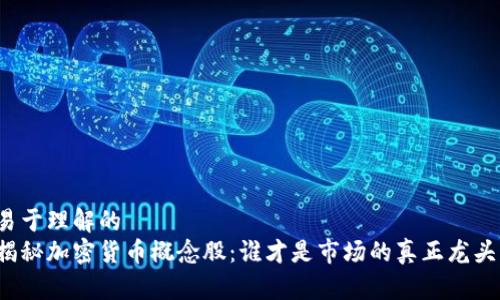 易于理解的
揭秘加密货币概念股：谁才是市场的真正龙头？
