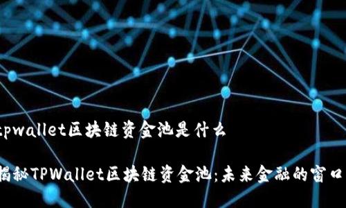 tpwallet区块链资金池是什么

揭秘TPWallet区块链资金池：未来金融的窗口？