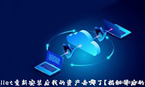 
tpwallet重新安装后我的资产去哪了？揭秘背后的真相！