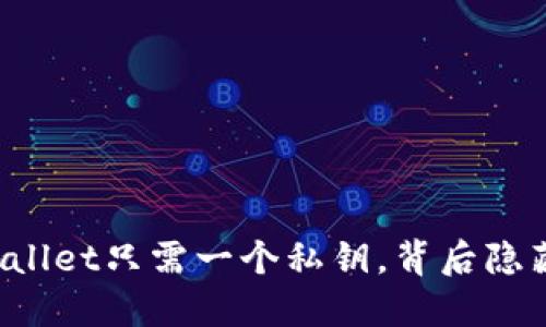 你知道吗？使用TP Wallet只需一个私钥，背后隐藏着哪些惊人的秘密？