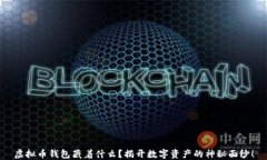 虚拟币钱包藏着什么？揭开数字资产的神秘面纱