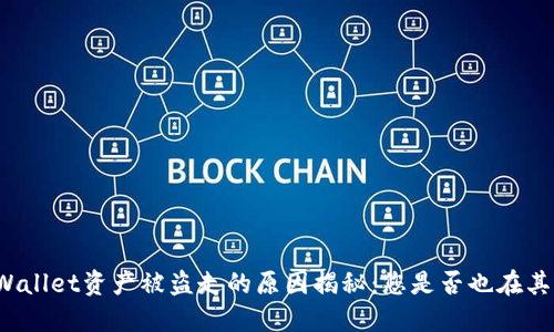 TPWallet资产被盗走的原因揭秘：您是否也在其中？