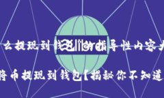 关于“币怎么提现到钱包”的指导性内容大纲和