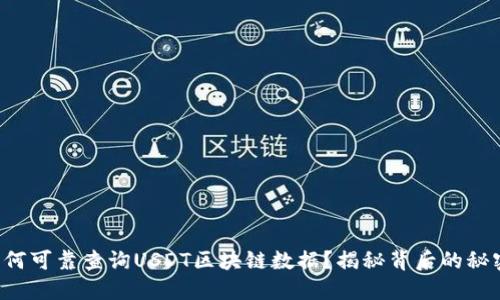 如何可靠查询USDT区块链数据？揭秘背后的秘密！