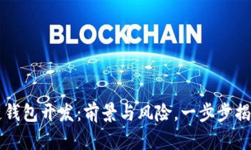 区块链钱包开发：前景与风险，一步步揭开真相