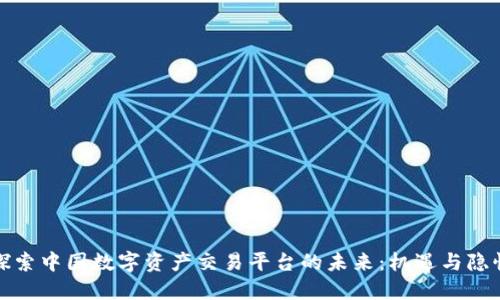 探索中国数字资产交易平台的未来：机遇与隐忧