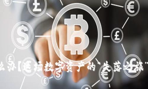 私钥忘了怎么办？这场数字资产的“失落之旅”会有出路吗？