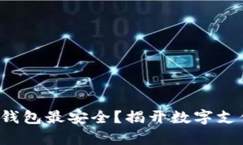 哪种电子钱包最安全？揭开数字支付的真相!