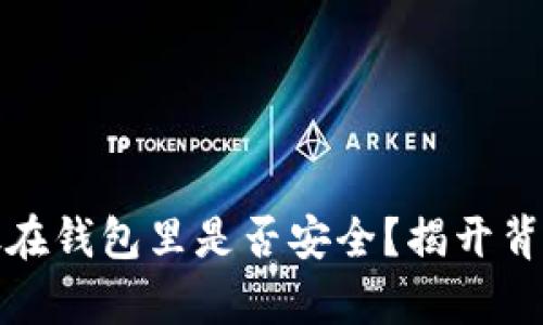 虚拟货币存放在钱包里是否安全？揭开背后的未解之谜