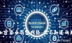 揭秘加密货币钱包网络：你不知道的那些事