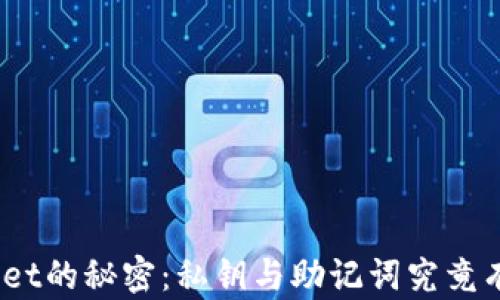 
探寻tpwallet的秘密：私钥与助记词究竟有什么不同？