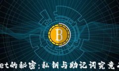 探寻tpwallet的秘密：私钥与助记词究竟有什么不同