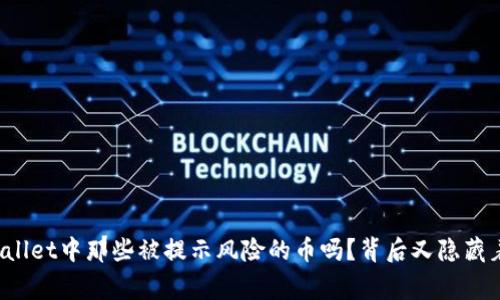 你知道TPWallet中那些被提示风险的币吗？背后又隐藏着哪些故事？