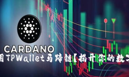 如何高效使用TPWallet马蹄链？揭开你的数字资产新篇章