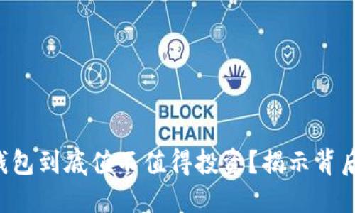 区块链钱包到底值不值得投资？揭示背后的秘密！