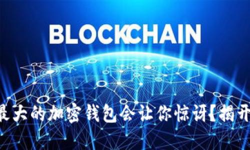 为什么全球最大的加密钱包会让你惊讶？揭开背后的秘密！