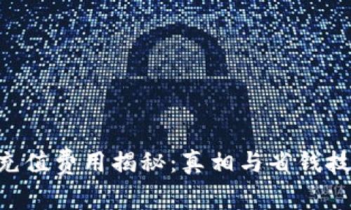 TPWallet充值费用揭秘：真相与省钱技巧大盘点！