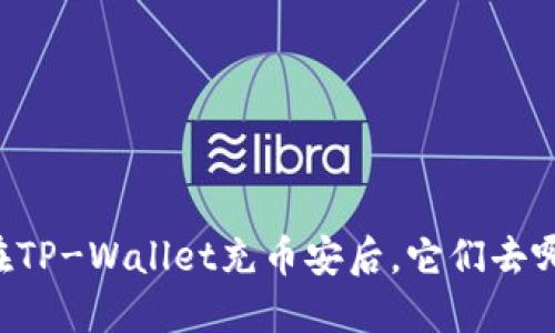 当你在TP-Wallet充币安后，它们去哪里了？