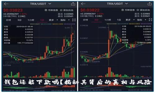 钱包还能下款吗？揭秘其背后的真相与风险