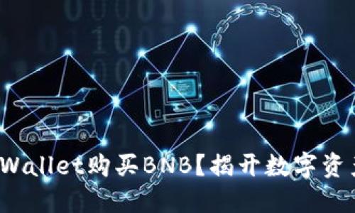如何利用TP Wallet购买BNB？揭开数字资产的神秘面纱
