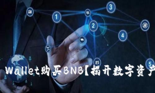 如何利用TP Wallet购买BNB？揭开数字资产的神秘面纱