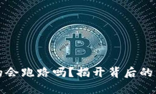 热钱包真的会跑路吗？揭开背后的真相与风险