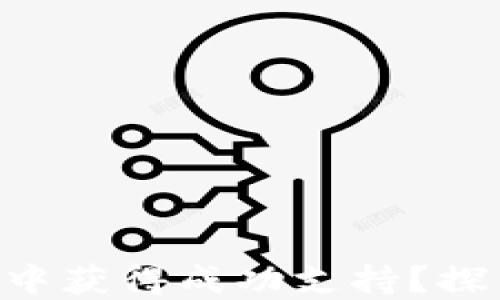 
如何在TPWallet生态中获得成功支持？探索背后的秘密与机遇！