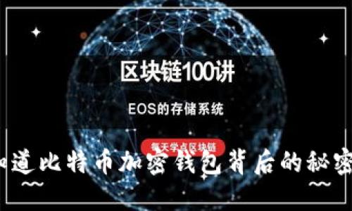 你知道比特币加密钱包背后的秘密吗？