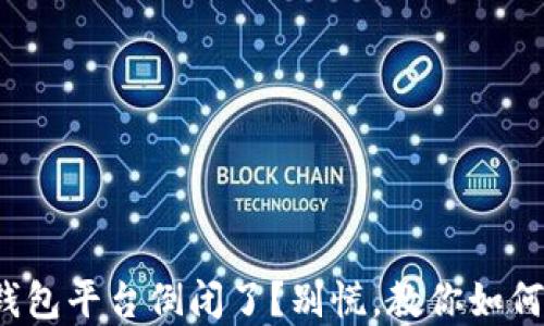 
数字货币钱包平台倒闭了？别慌，教你如何应对危机！