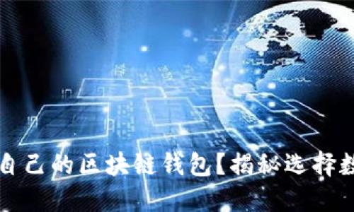 如何挑选适合自己的区块链钱包？揭秘选择数字货币的秘笈