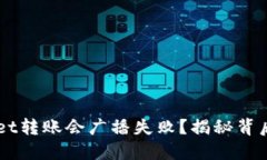 为什么你的TPWallet转账会广播失败？揭秘背后的原