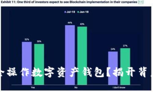 如何安全操作数字资产钱包？揭开背后的秘密