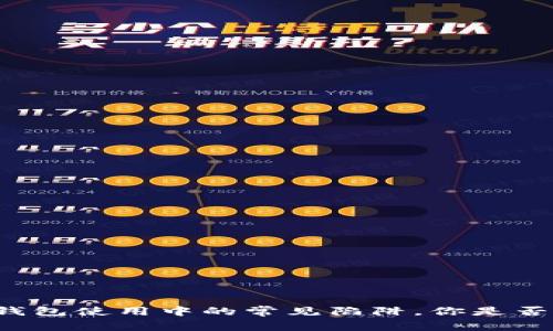 虚拟币钱包使用中的常见陷阱，你是否也踩过？