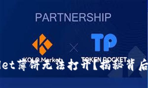 ### 为何TPWallet薄饼无法打开？揭秘背后的原因及解决方案