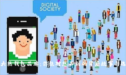 全球十大热钱包品牌：你绝对想不到的背后故事与选择指南