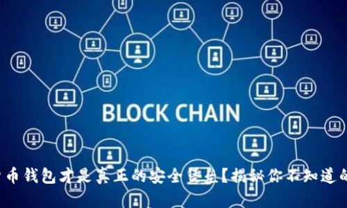 哪个数字货币钱包才是真正的安全堡垒？揭秘你不知道的保密技巧！