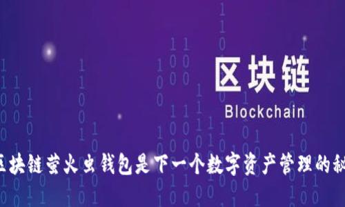 为什么区块链萤火虫钱包是下一个数字资产管理的秘密武器？