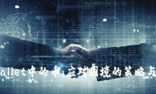 出售TPWallet中的币：应对困境的策略与解决方案