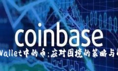 出售TPWallet中的币：应对困境的策略与解决方案