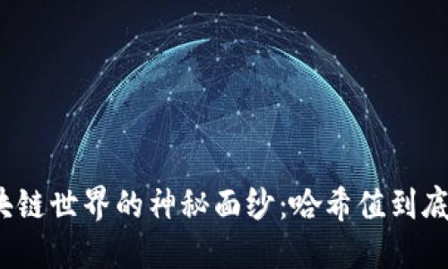 揭开区块链世界的神秘面纱：哈希值到底是什么？