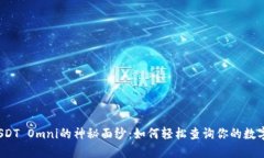 揭开USDT Omni的神秘面纱：如何轻松查询你的数字