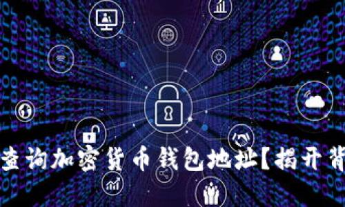 如何安全查询加密货币钱包地址？揭开背后的秘密