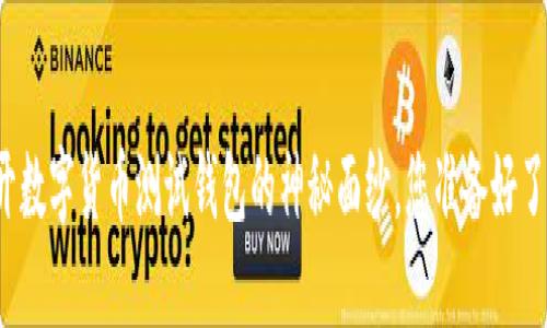 揭开数字货币测试钱包的神秘面纱，您准备好了吗？