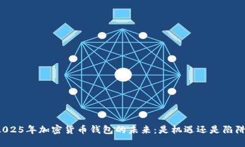 2025年加密货币钱包的未来：是机遇还是陷阱？