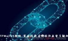  揭秘TPWallet转账：背后隐藏着哪些你未曾了解的