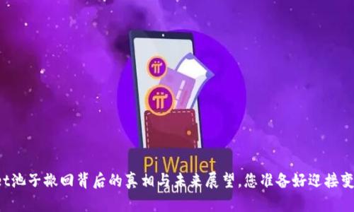TPWallet池子撤回背后的真相与未来展望，您准备好迎接变革了吗？