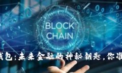 区块链云钱包：未来金融的神秘钥匙，你准备好