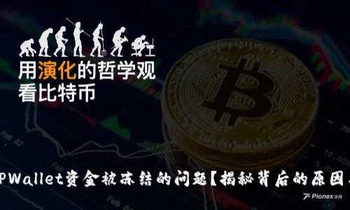 如何解决TPWallet资金被冻结的问题？揭秘背后的原因与解决方案